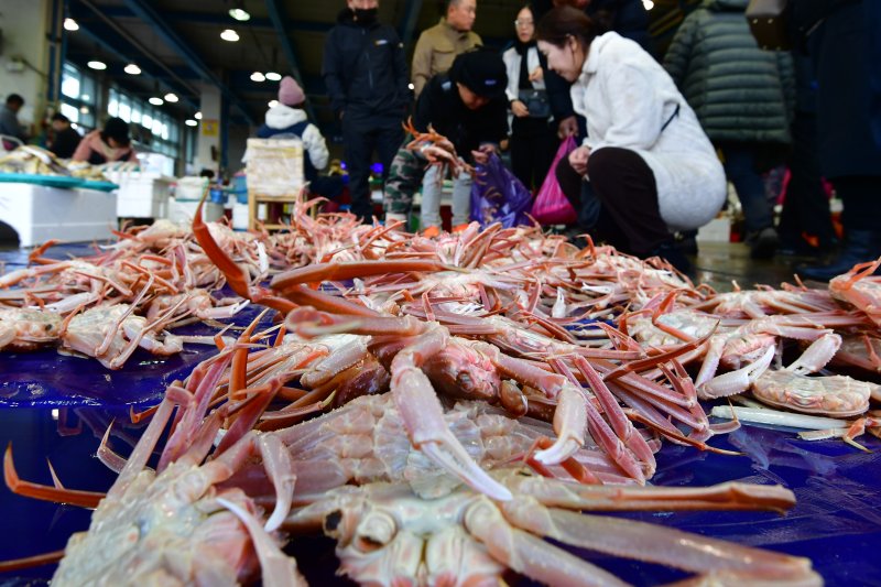 지난 26일 경북 포항시 북구 죽도시장에서 시민들과 관광객들이 대게를 구입하고 있다.2023.11.26/뉴스1 ⓒ News1 최창호 기자