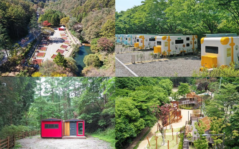 전북 임실군 성수산 왕의 숲. 임실군 제공