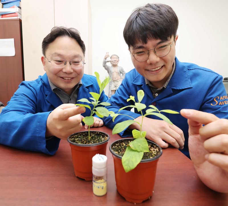 한국과학기술원(KAIST) 화학과 한순규 교수(왼쪽)와 강규민 석박사통합과정생이 광대싸리를 보여주며 약물 합성법을 설명하고 있다. KAIST 제공