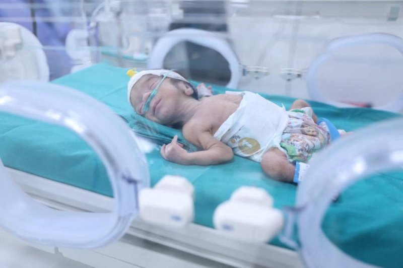 가자지구 병원에서 부패한 채 발견된 아기들