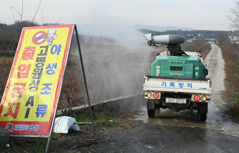 고병원성 조류인플루엔자 발생..."농장주 신고 가장 중요"