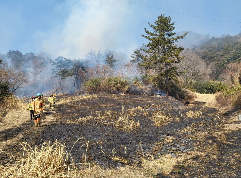 전남도는 영농 부산물과 쓰레기 불법 소각 등에 따른 산불 발생 위험이 높아짐에 따라 소각 산불 근절을 위해 최고 300만원의 신고포상금을 지급한다고 7일 밝혔다. 전남도 제공