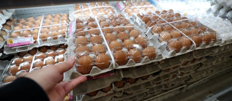 [서울=뉴시스] 김선웅 기자 = 서울 시내 대형마트에서 계란이 판매되고 있다. 2023.10.25. mangusta@newsis.com /사진=뉴시스
