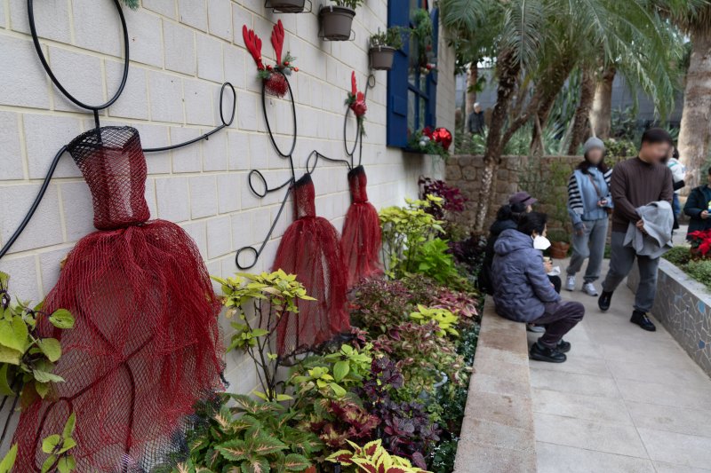 10일 오전 서울 강서구 서울식물원을 찾은 시민들이 크리스마스 분위기로 조성된 다양한 식물을 살펴보고 있다. 2023.12.10/뉴스1 ⓒ News1 이재명 기자