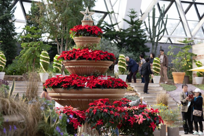 10일 오전 서울 강서구 서울식물원을 찾은 시민들이 크리스마스 분위기로 조성된 다양한 식물을 살펴보고 있다. 2023.12.10/뉴스1 ⓒ News1 이재명 기자