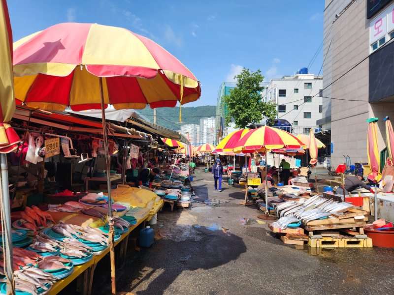 "부산, 굿" 외국인 관광 폭증… 최고 핫플은 '자갈치·국제시장'