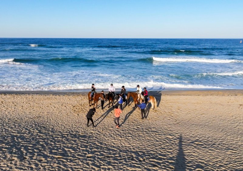 해변 승마를 즐기고 있는 관광객들. 강원관광재단 제공