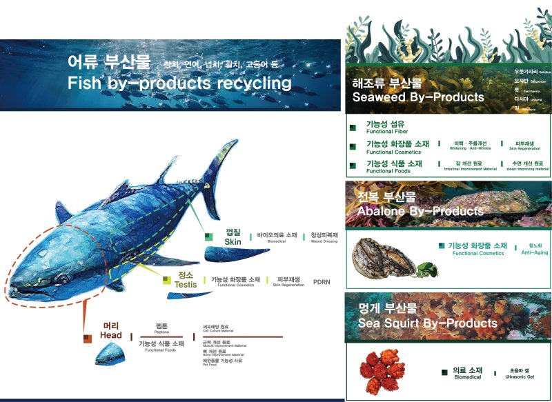 국내 수산부산물 활용 연구(출처:한국해양과학기술원)