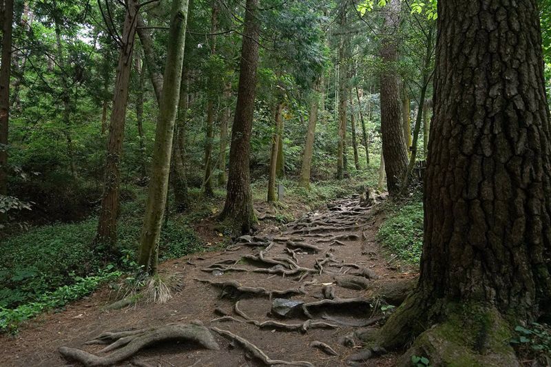 유배 온 정약용의 발자취 고스란히···강진은 '남도여행 1번지'이자 배움터 [Weekend 레저]