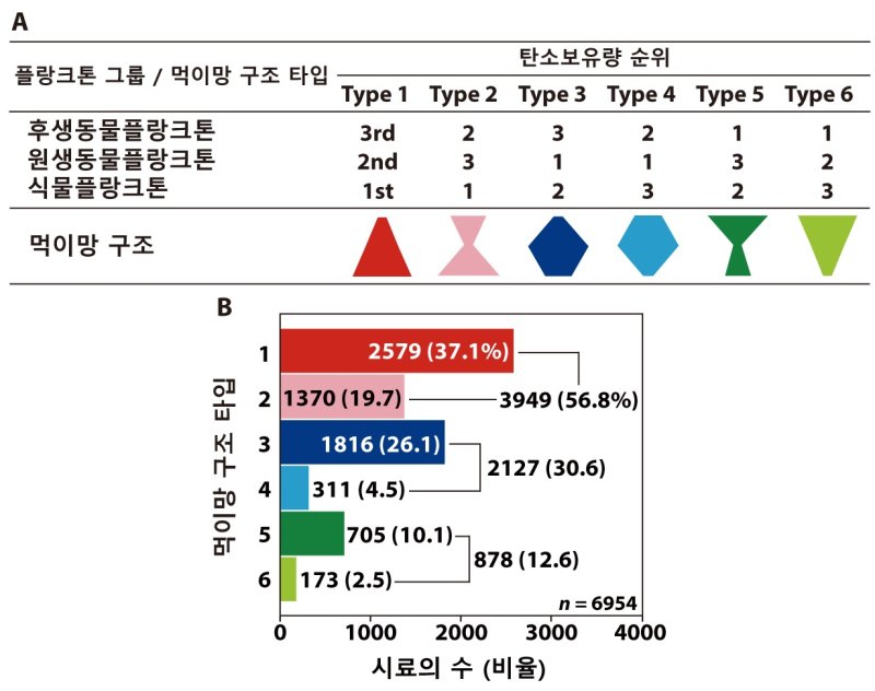 탄소량 기준 전 세계 해양의 먹이망 구조. (서울대 제공)/뉴스1