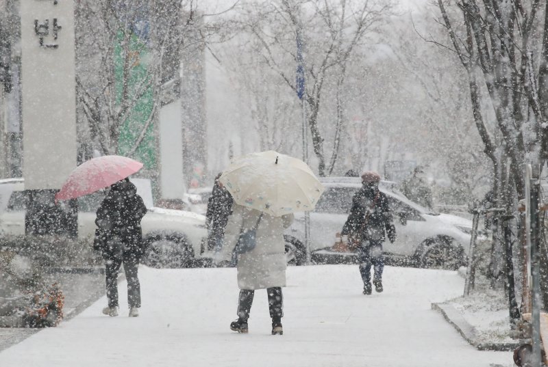 광주와 전남에 많은 눈이 예보된 20일 광주 서구 상무지구에 시민들이 눈을 맞으며 걸어가고 있다.뉴스1