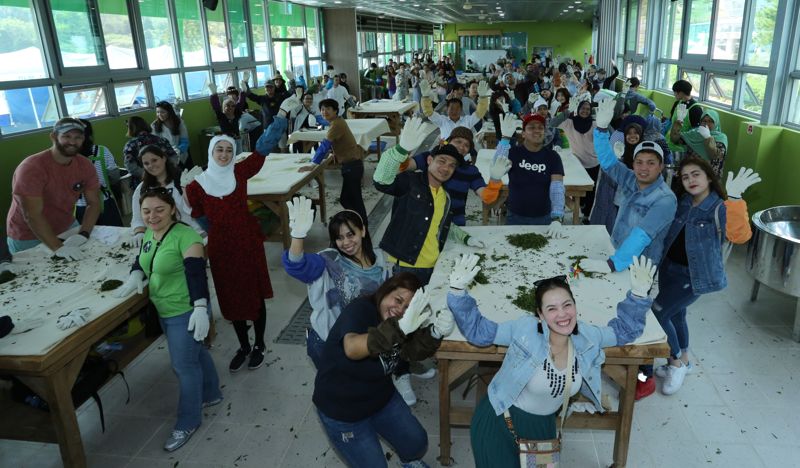 보성다향대축제, 문화체육관광부 지정 문화관광축제 됐다