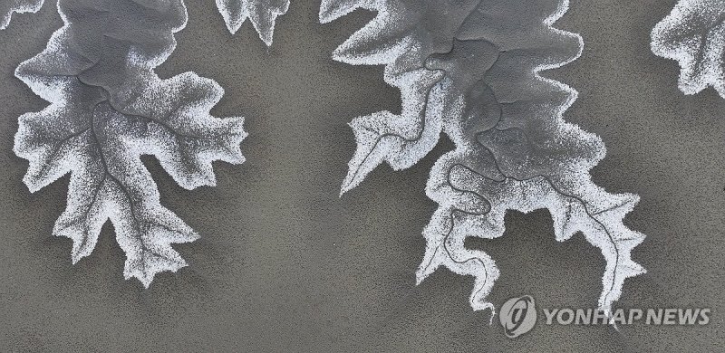 한파에 얼어붙은 갯벌 한파에 얼어붙은 갯벌 (화성=연합뉴스) 홍기원 기자 = 한파가 이어진 18일 오후 경기도 화성시 서신면 갯벌이 얼어있다. 2023.12.18 xanadu@yna.co.kr (끝)