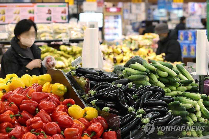 물가·산업활동·체감경기 지표 줄이어 '성장률 전망 낮추고 물가 전망은 높여' (서울=연합뉴스) 강민지 기자 = 한국은행이 내년 실질 국내총생산(GDP) 성장률 전망치를 2.2％에서 2.1％로 하향 조정했다. 내년 소비자물가 상승률 전망치는 2.4％에서 2.6％로 0.2％포인트(p) 높였다. 사진은 30일 서울의 한 대형마트에서 장을 보는 시민들. 2023.11.30 mjkang@yna.co.kr (끝)