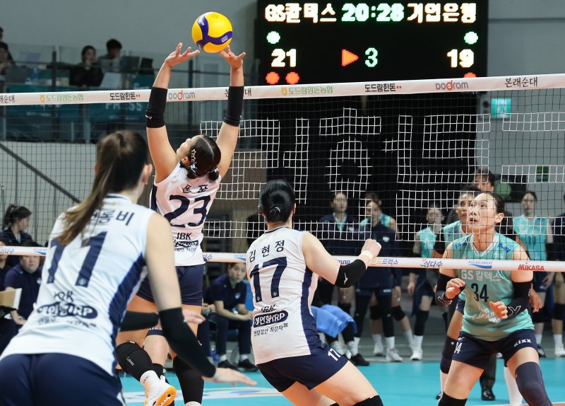 IBK기업은행 폰푼이 29일 서울 중구 장충체육관에서 열린 여자프로배구 2023-2024 도드람 V리그 GS칼텍스와 IBK기업은행의 경기에서 토스하고 있다. 2023.11.29/뉴스1 ⓒ News1 이동해 기자