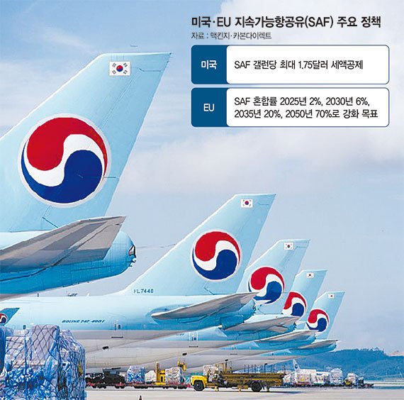 대한항공 항공기가 인천국제공항 주기장에 계류돼 있다. 대한항공 제공