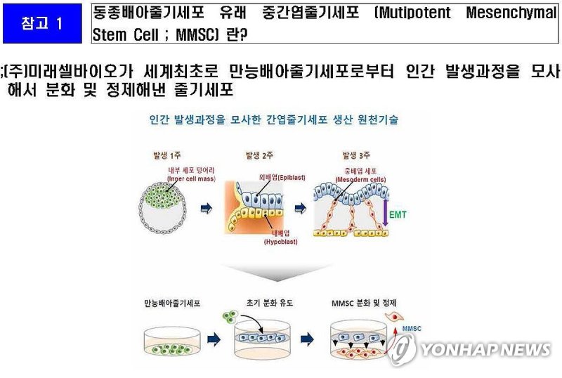 동종배아줄기세포 유래 중간엽줄기세포 설명도면 동종배아줄기세포 유래 중간엽줄기세포 설명도면 (제주=연합뉴스) 미래셀바이오가 세계 최초로 만능배아줄기세포로부터 인간 발생과정을 모사해서 분화 및 정제해낸 줄기세포인 동종배아줄기세포 유래 중간엽줄기세포(MMDC: Multipotent Mesenchymal Stem Cell)를 설명하는 도면. 2023.12.27 [미래셀바이오 제공. 재판매 및 DB 금지] (끝)