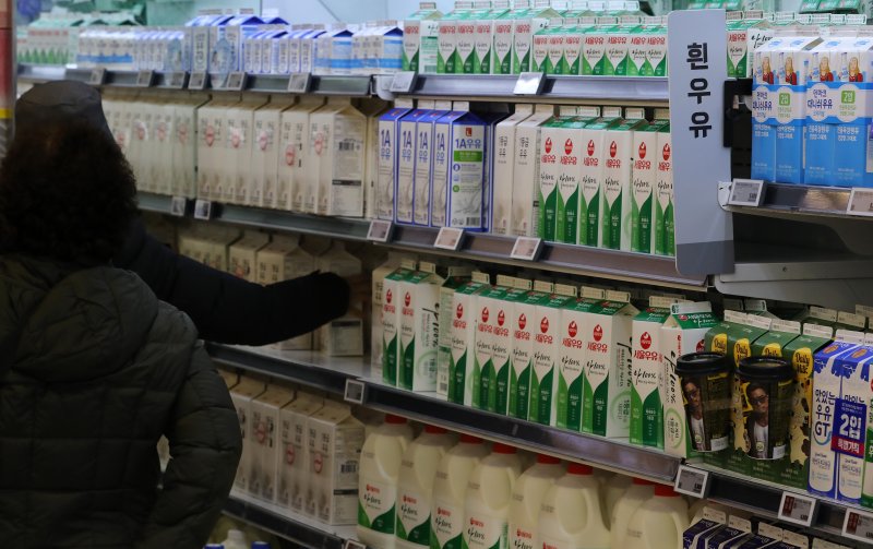 1일 서울 시내 한 대형마트에서 시민들이 우유를 고르고 있다. 냉장으로 유통되는 우유의 경우 오는 2030년까지는 기존과 같이 유통기한을 적용, 식품의약품안전처는 변질이 쉬운 우유의 특성을 고려해 냉장 유통 체계 개선과 낙농업계의 준비 기간이 필요하다고 판단했다. 2023.1.1/뉴스1 ⓒ News1 이동해 기자