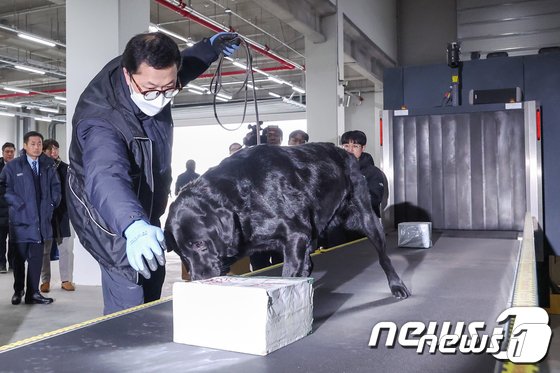 마약 밀수 '대형화'..."국제공조 통해 국경 차단해야"[김동규의 마약 스톱!]