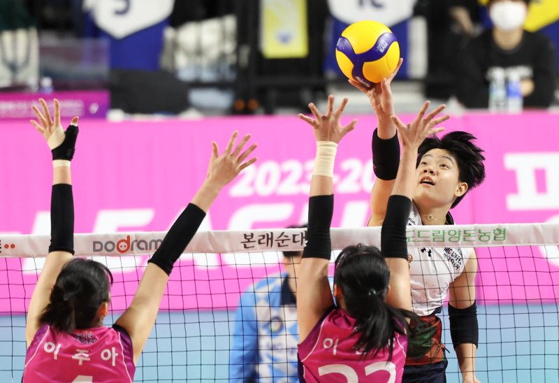31일 인천 삼산월드체육관에서 열린 여자프로배구 '2023-2024 도드람 V리그' 흥국생명과 현대건설의 경기에서 현대건설 위파위가 공격을 하고 있다. 2023.12.31/뉴스1 ⓒ News1 허경 기자