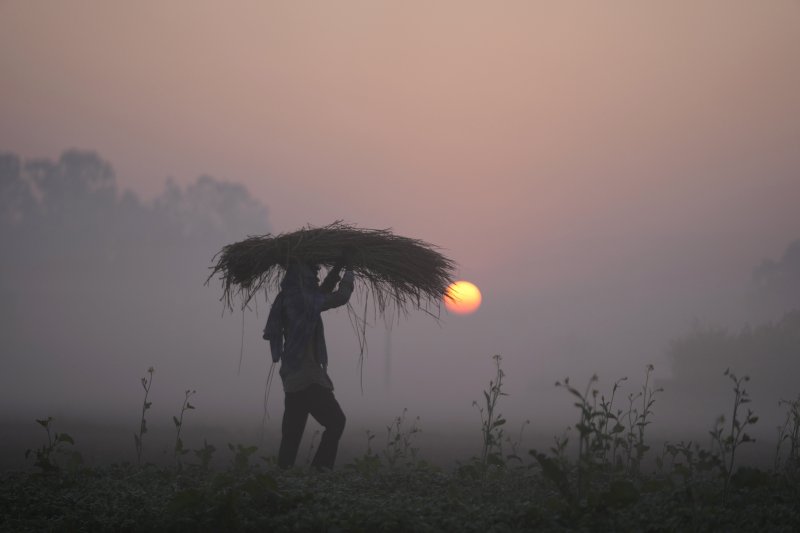 [잠무=AP/뉴시스] 지난달 31일 닛케이 보도에 따르면 지난해 엘니뇨로 인한 기후변화로 아시아의 흉작이 지속돼 물가상승에도 큰 영향을 주고 있다. 사진은 인도의 농부. 2024.01.02. /사진=뉴시스