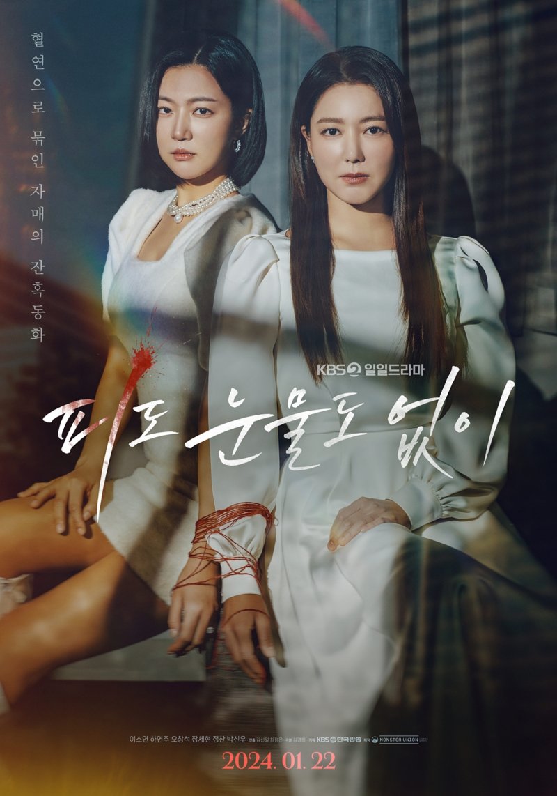 KBS 2TV '피도 눈물도 없이' 포스터