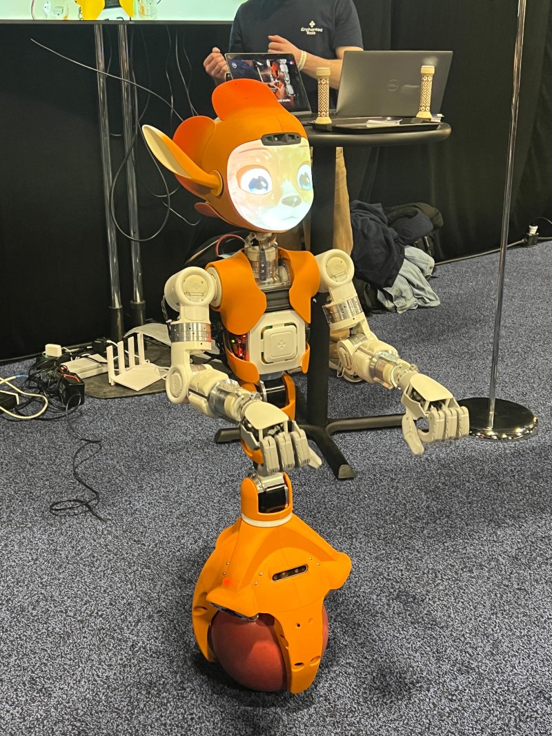 프랑스 기업 인챈티드툴스의 로봇 '미로카이'