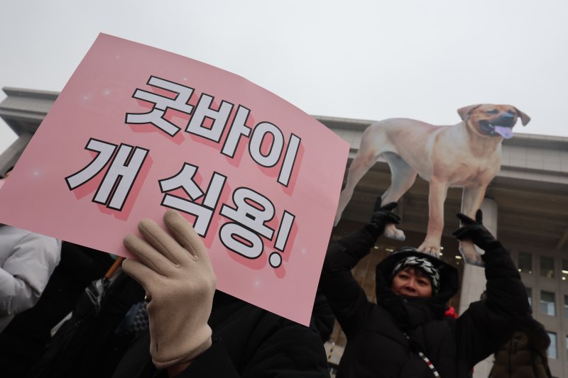 개 식용 종식을 위한 국민행동 활동가들이 지난 1월 서울 여의도 국회 본관 계단 앞에서 개식용 종식 특별법 제정 환영 기자회견을 하고 있다. 뉴스1
