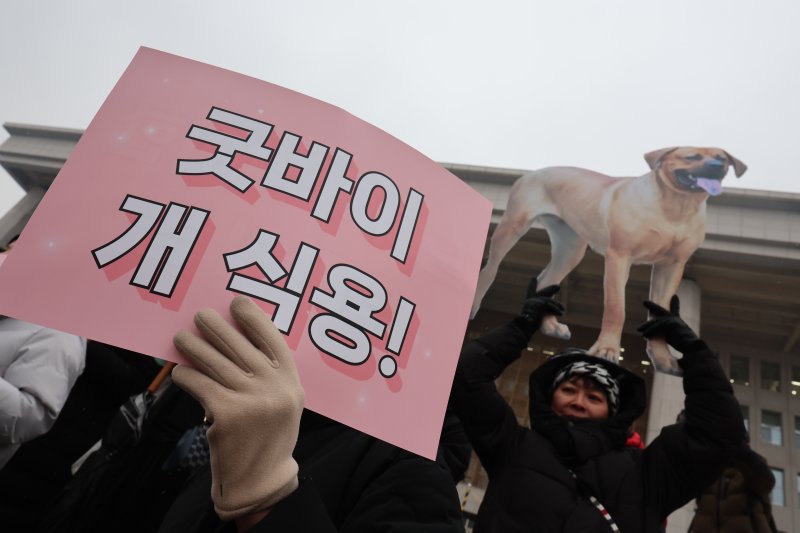 개 식용 역사 뒤안길로…2027년부터 전면 금지
