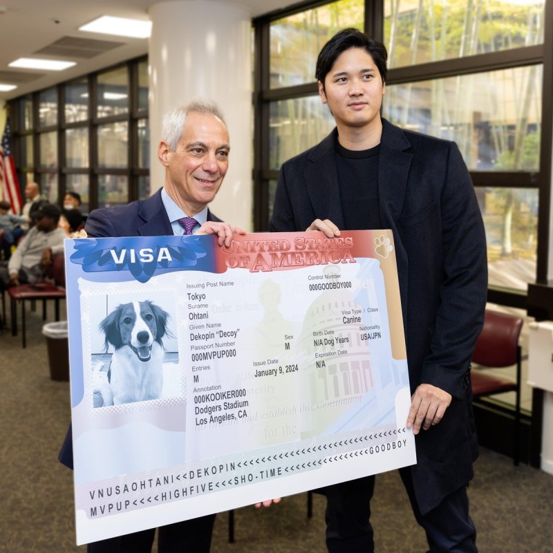 오타니 반려견, 미국 비자 받았다...재치 있는 여권번호에 눈길