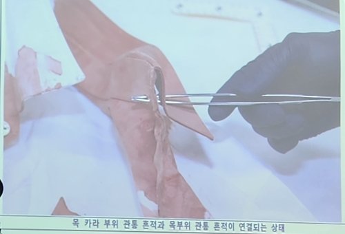 [부산경찰청 제공. 재판매 및 DB 금지]