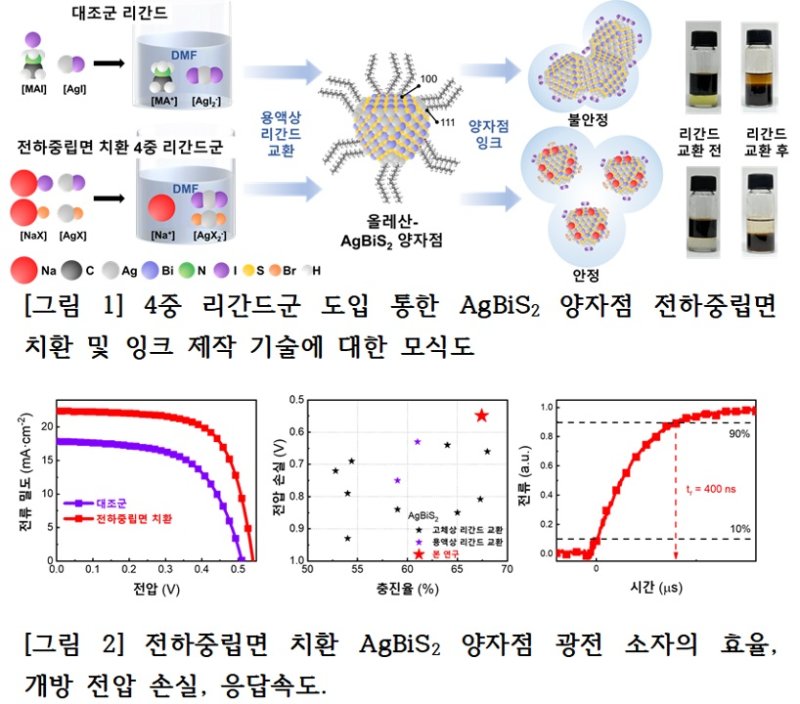 (사진=고려대 제공) *재판매 및 DB 금지