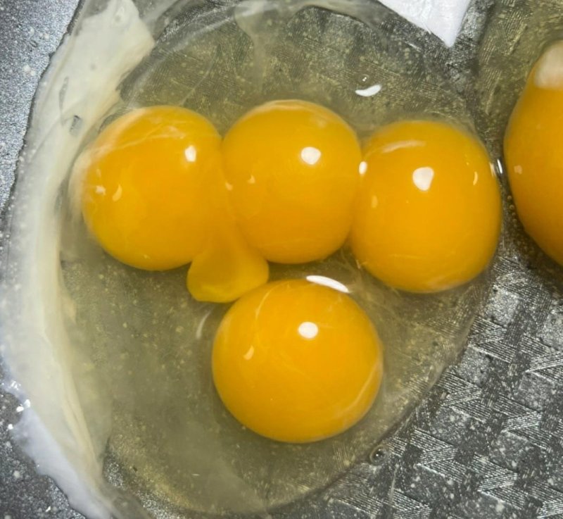 경북 칠곡에 사는 A씨가 달걀 프라이를 하기 위해 달걀을 깨자 나온 4개의 노른자. /사진=A씨 제공,연합뉴스