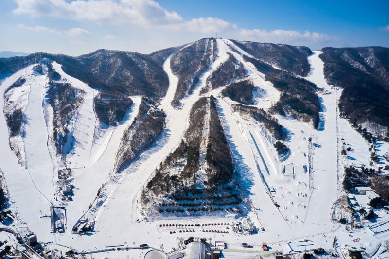 휘닉스 스노우파크, 전 슬로프 오픈···'스카이 올인클루시브' 패키지 판매