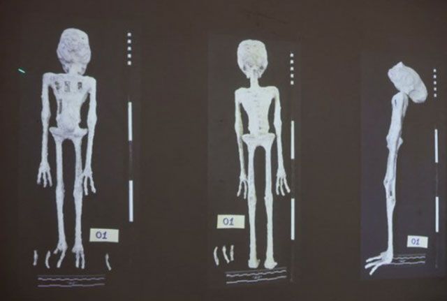 작년 9월, 멕시코 의회 청문회에서 멕시코 언론인이자 미확인비행물체(UFO) 전문가 호세 하이메 하우산이 공개했던 정체 불명의 미라 사진 /연합뉴스