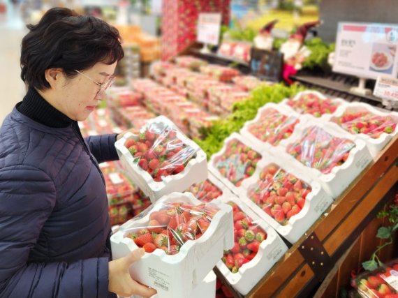 한 고객이 롯데마트 안산점 과일 매장에서 '한입 꼬마 딸기' 상품을 둘러보고 있다. /사진=롯데마트