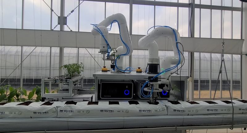 무인 자동화 스마트팜 정식로봇이 시설재배 공간에서 모판에 있는 모종을 코코피트 배지에 옮겨 심고 있다. 생산기술연구원 제공