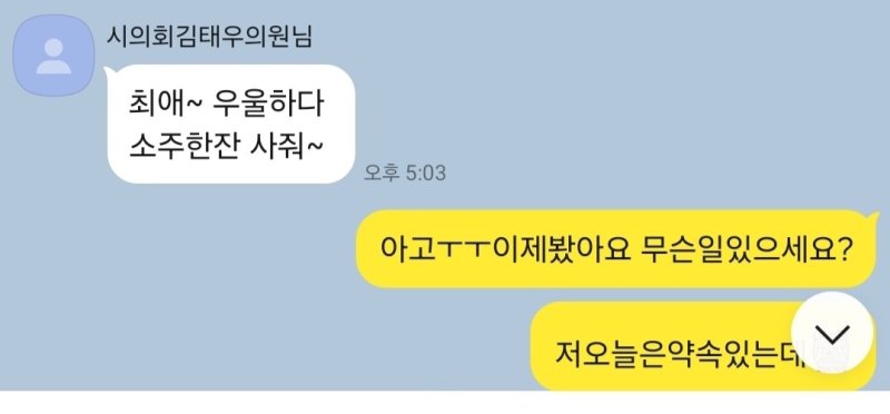 국민의힘 소속 양산시의회 김태우 의원과 여직원이 나눈 카카오톡 대화 내용. (독자제공)