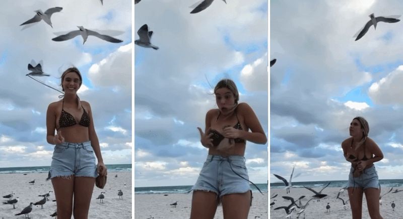 베네수엘라 출신 가수이자 수만명의 팔로워를 갖고 있는 미모의 인플루언서 렐레 폰스(27)가 한 해변에서 갈매기들의 습격을 당하는 아찔한 상황이 벌어졌다. [영상 출처 = 인스타그램]