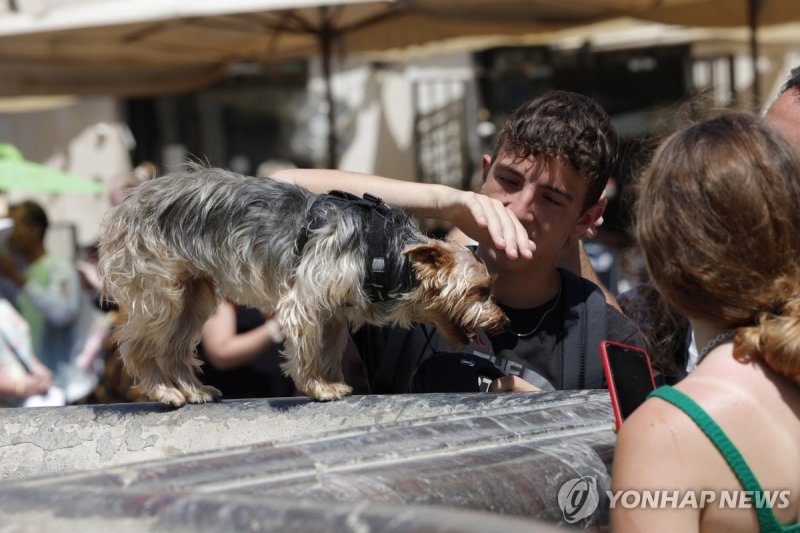 사진은 기사와 무관함.