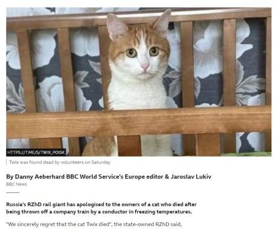 러시아에서 영하 30도 추위에 기차 밖으로 내던져 졌다가 숨진 채 발견된 고양이 ‘트윅스’ [사진 = BBC 캡처]