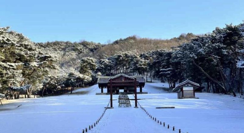 고양 서오릉 설경. 문화재청 제공