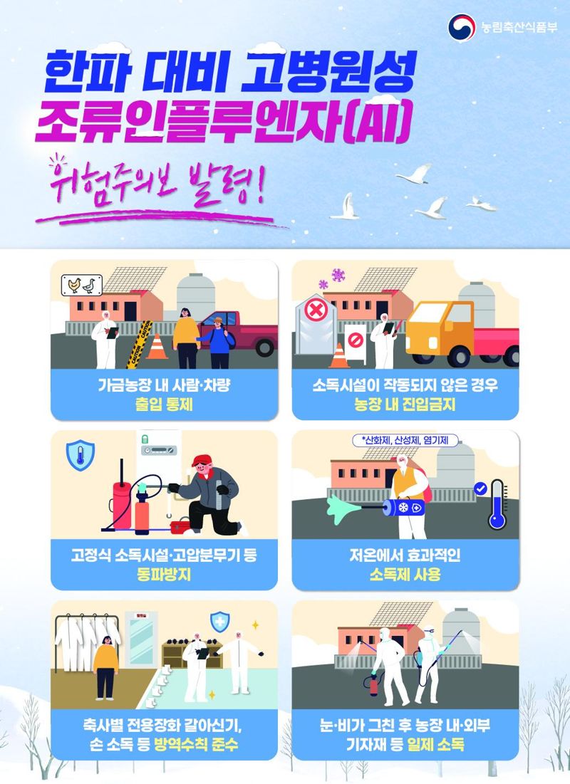 전남도는 지난 25일 무안의 한 종오리농장(1만 마리 사육)에서 H5형 조류인플루엔자(AI) 항원이 검출됐다고 26일 밝혔다. 전남도 제공