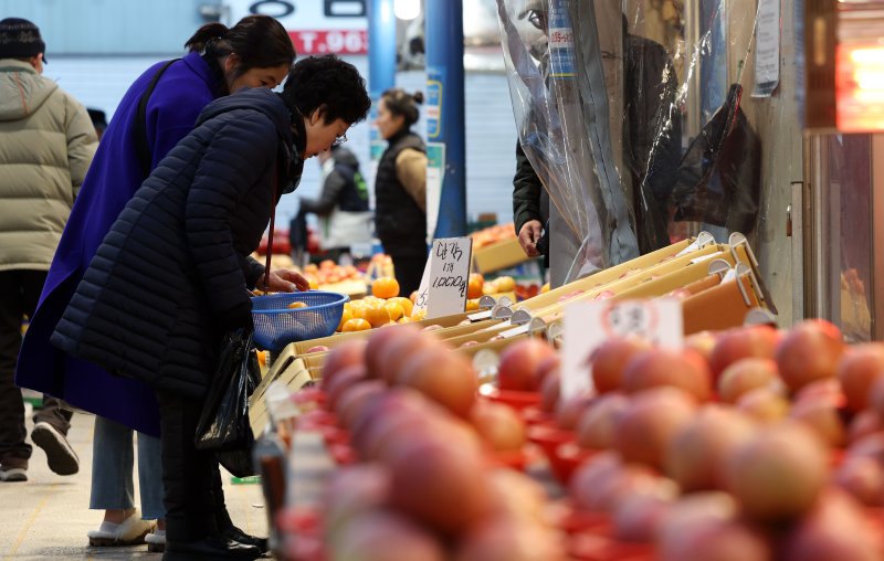 설 명절을 앞둔 28일 서울 동대문구 경동시장을 찾은 시민들이 과일 등 제수용품을 둘러보고 있다. 뉴시스