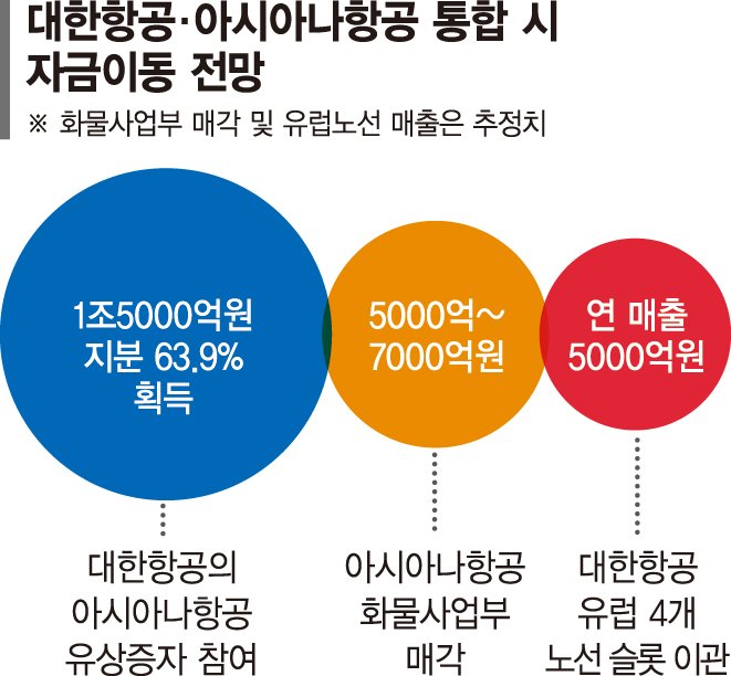 대한항공 '메가캐리어' 뜬다… 3조+α 머니무브 눈앞 [항공산업 재편 'K 메가캐리어' 뜬다 (上)]