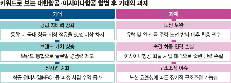 9부 능선 넘은 ‘합병’… "공급 지배력 강화" "인력 손실 과제" [항공산업 재편 'K 메가캐리어' 뜬다 (下)]