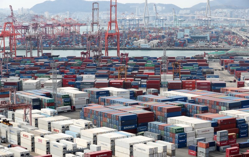 25일 오후 부산항 신선대부두와 감만부두 야적장에 컨테이너가 가득 쌓여 있다. 2024.1.25/뉴스1 ⓒ News1 윤일지 기자