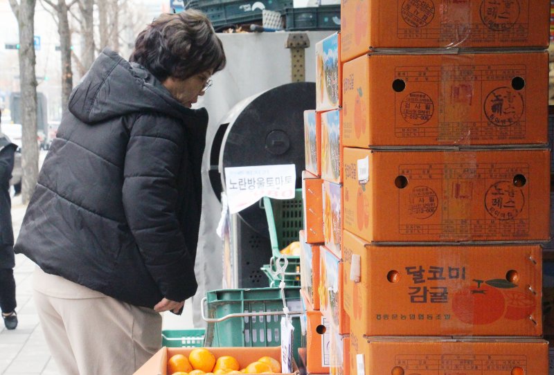 지난 4일 과일판매대 앞에서 한 시민이 차례상에 올릴 것들을 살펴보고 있다. 뉴스1.