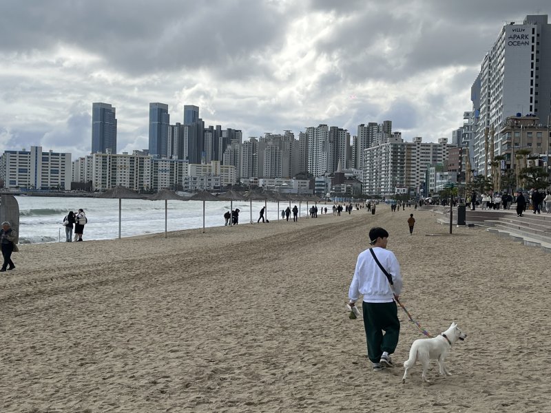 부산 수영구 광안리해수욕장에서 한 시민이 반려견과 함께 산책하고 있다. 2024.02.04/뉴스1 ⓒ News1 권영지 기자