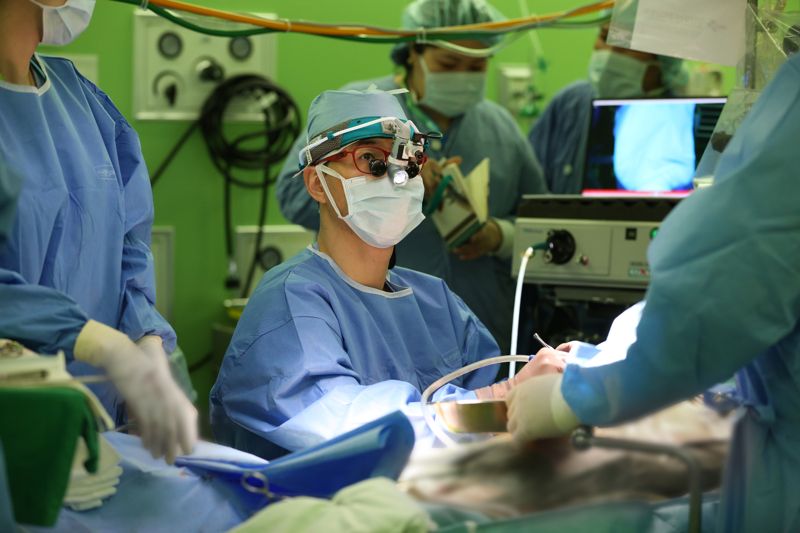 심장혈관흉부외과 제형곤 교수가 심장수술을 하는 모습. 양산부산대병원 제공